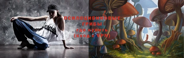 винт Алексин