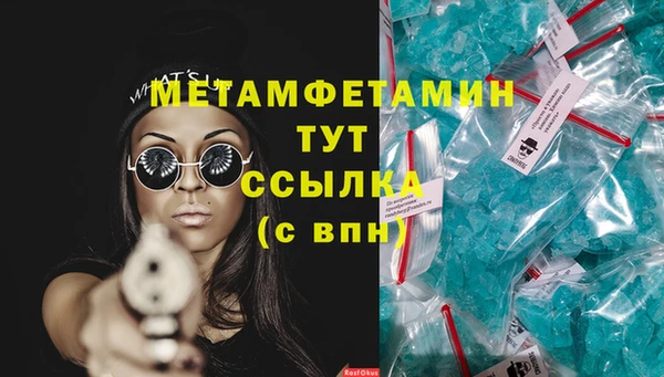 ГАЛЛЮЦИНОГЕННЫЕ ГРИБЫ Каменка
